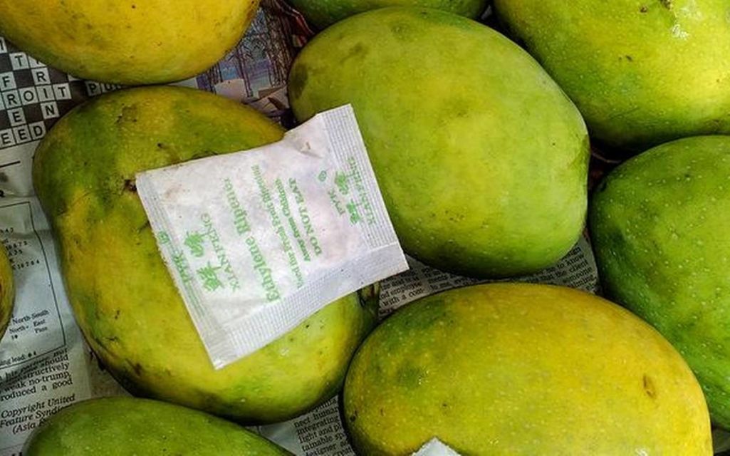 6 Ciri-ciri Buah Mangga Masak Pohon dan Bukan Karbitan. Lebih Manis, Segar, Berserat Dagingnya
