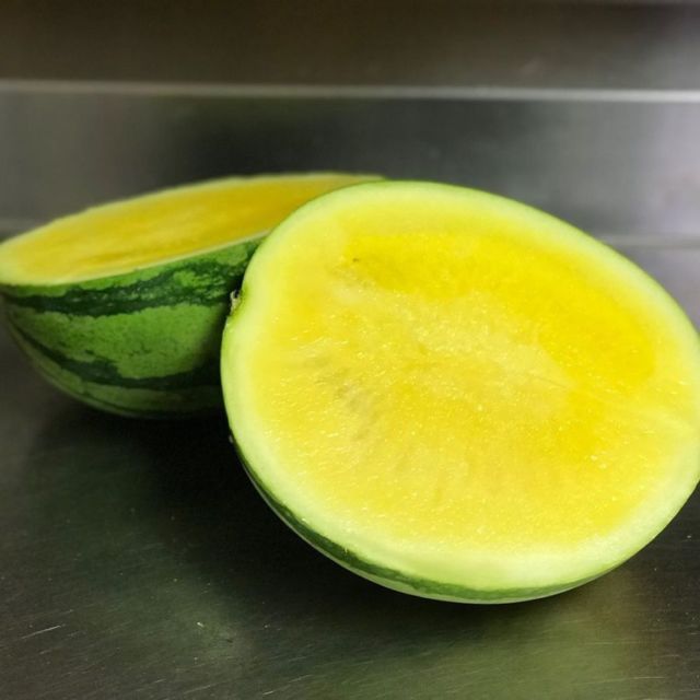 semangka daging kuning