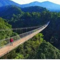 Menelusuri Wisata Alam Situ Gede Suspension Bridge di Taman Nasional Gunung Gede Pangrango