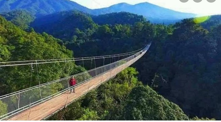Menelusuri Wisata Alam Situ Gede Suspension Bridge di Taman Nasional Gunung Gede Pangrango