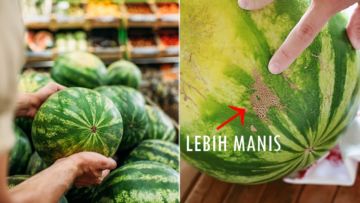 5 Jenis Buah Semangka dan Cara Memilih yang Manis