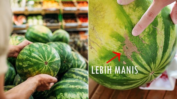 5 Jenis Buah Semangka dan Cara Memilih yang Manis