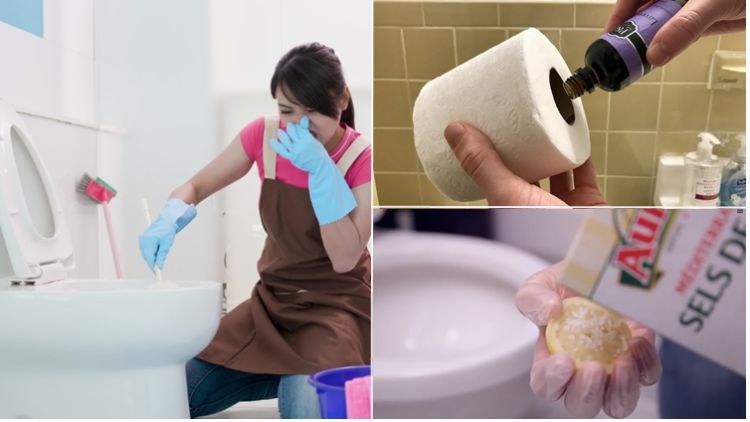 10 Pengharum Kamar Mandi Alami Penumpas Bau Pesing dan Tak Sedap. Aromanya Segar, Anti Pengap