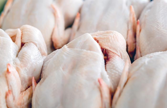 6 Ciri Ayam Potong Segar dan Bedanya dengan Ayam Tiren. Dari Warna dan Tekstur Bisa Kelihatan