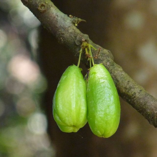 6 Cara Membuat Sabun Cuci Piring Organik yang Ramah Lingkungan