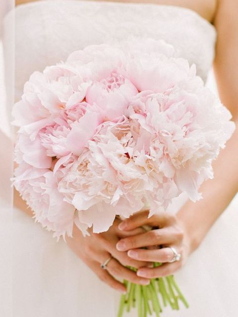 7 Ide Buket Bunga Serba Merah Muda yang Romantis. Satu Warna Manis ini Sudah Cukup Wakili Semua Rasa