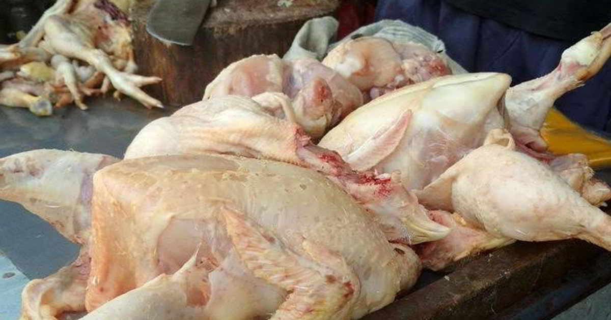 6 Ciri Ayam Potong Segar dan Bedanya dengan Ayam Tiren. Dari Warna dan Tekstur Bisa Kelihatan