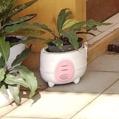 11 Benda Aneh yang Pernah Ada di Dalam Rumah, Antara Kreatif dan Random sih. Kocak Bener! :D