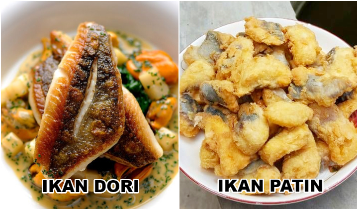 Penjelasan Ikan Dori dan 8 Perbedaan dengan Ikan Patin