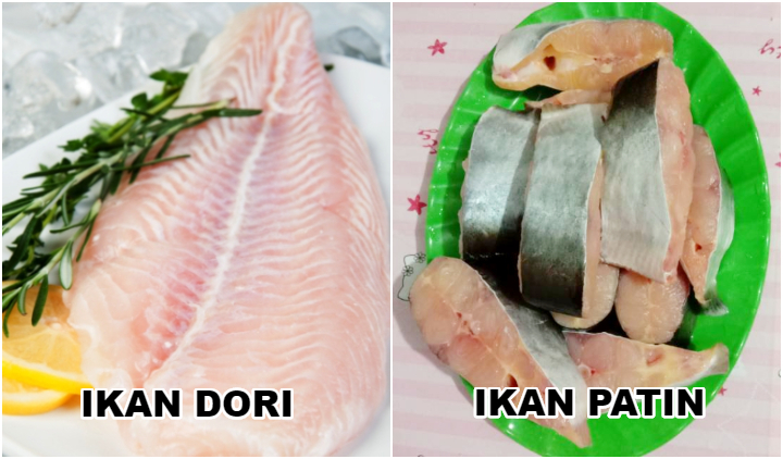 ikan dori dan ikan patin