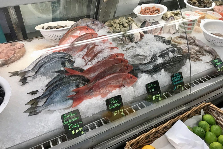 Penjelasan Ikan Dori dan 8 Perbedaan dengan Ikan Patin