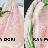 Penjelasan Ikan Dori dan 8 Perbedaan dengan Ikan Patin