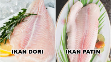Penjelasan Ikan Dori dan 8 Perbedaan dengan Ikan Patin