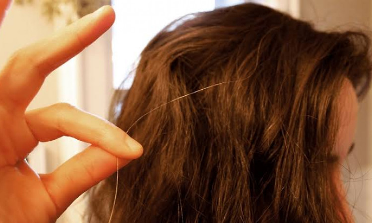 7 Mitos dan Fakta Tentang Rambut Uban. Memangnya Kalau Dicabut, Tumbuhnya Jadi Banyakan?