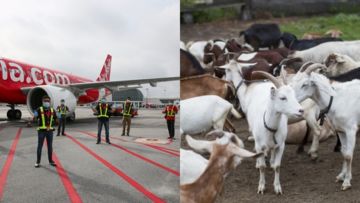 Mengulik Diversifikasi Usaha ala Maskapai Penerbangan Air Asia. Kini Buka Jasa Akikah Digital!