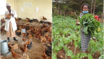 Tak Bisa Bertahan, Sekolah di Kenya Beralih Fungsi Jadi Peternakan Ayam dan Ladang Sayur. Nasib Guru Semakin Miris
