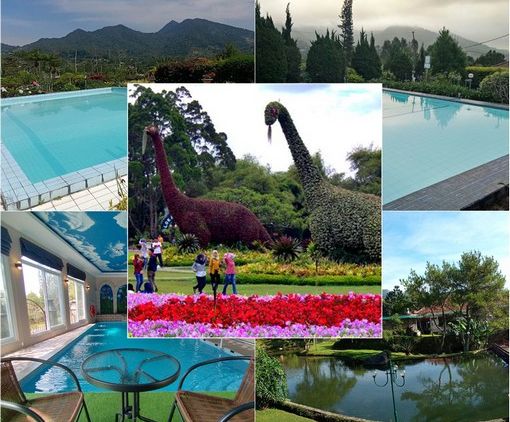 Tips Sewa Penginapan di Puncak Agar Lebih Hemat, Liburan Jadi Makin Menyenangkan!
