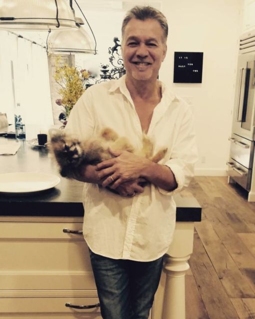 Gitaris Eddie Van Halen yang Meninggal Dunia Ternyata Keturunan Indonesia, Berikut 5 Faktanya