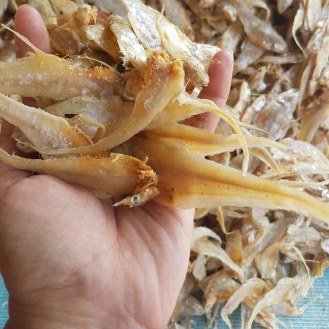 ikan asin bulu ayam