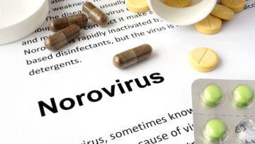 Fakta Seputar Norovirus yang Merebak di Indonesia, Bisa Menular Lewat Makanan. Simak Gejalanya!