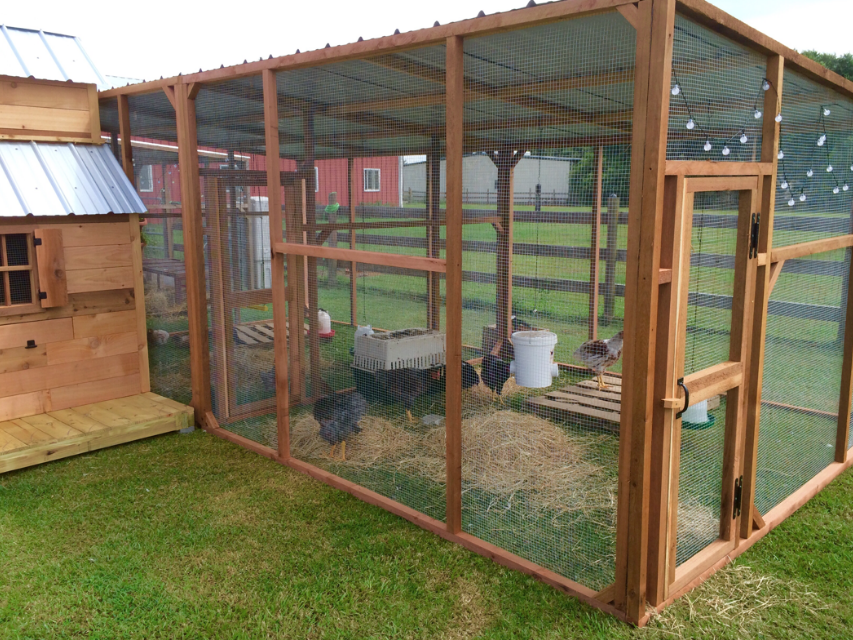 7 Rekomendasi Kandang Ayam Kayu Kreatif Anti Bau. Tempat Tidur dan Pakannya Nggak Jadi Satu