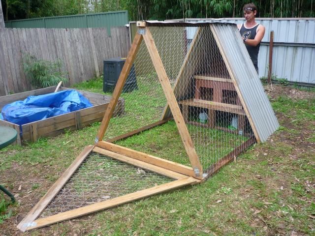 7 Rekomendasi Kandang Ayam Kayu Kreatif Anti Bau. Tempat Tidur dan Pakannya Nggak Jadi Satu