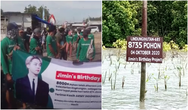 Rayakan Ulang Tahun Jimin BTS, ARMY Indonesia Tanam 8000-an Pohon Mangrove. Salut!
