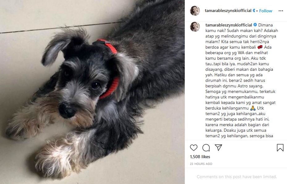 The Power of Social Media! Tamara Bleszynski Kembali Dipertemukan dengan Anjingnya yang Hilang