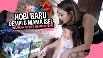 Ketagihan Pelihara Ikan Cupang hingga Koleksinya Capai 80 Ekor, Gisel Dapat Peringatan dari Gempi