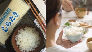 Fakta Seputar Nasi Shirataki yang Jadi Primadona Diet