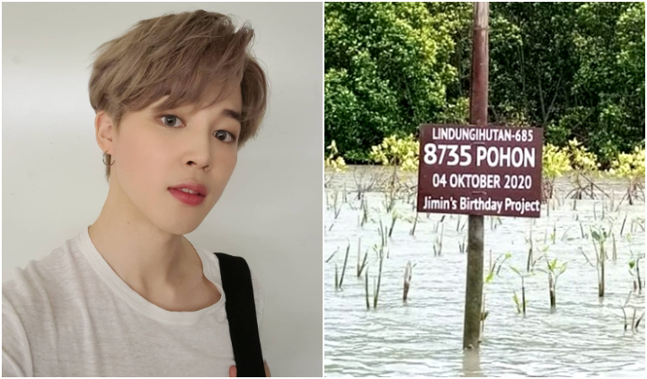 Rayakan Ulang Tahun Jimin BTS, ARMY Indonesia Tanam 8000-an Pohon Mangrove. Salut!