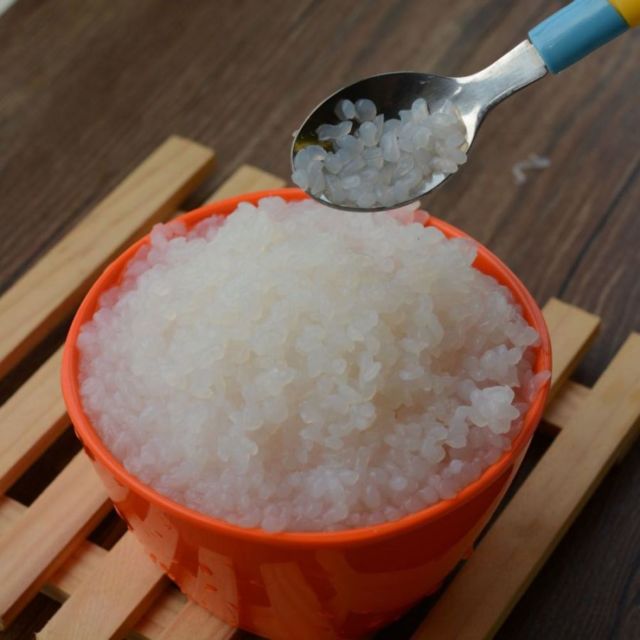 Fakta Seputar Nasi Shirataki yang Jadi Primadona Diet 11 nasi shirataki