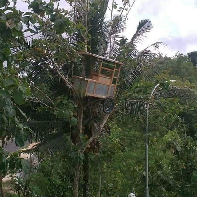 11 Potret Kendaraan Nyangkut di Tempat yang Nggak Semestinya. Kenapa Bisa Sampai Kayak Gitu, ya?