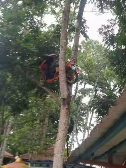 11 Potret Kendaraan Nyangkut di Tempat yang Nggak Semestinya. Kenapa Bisa Sampai Kayak Gitu, ya?
