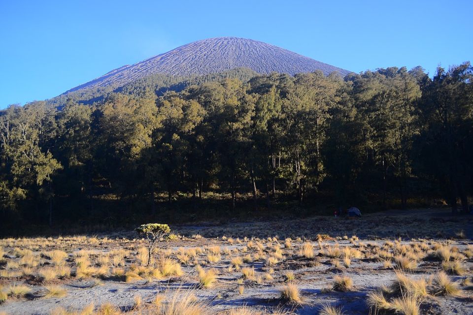 Terlihat Guguran Lava Pijar, Jalur Pendakian Semeru Ditutup Total. Para Pendaki Harap Bersabar!