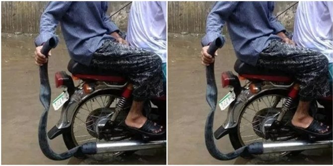11 Modifikasi Knalpot Motor yang Nyeleneh Banget. Baru Lihat Aja Udah Sebal, Apalagi Dengar Suaranya!