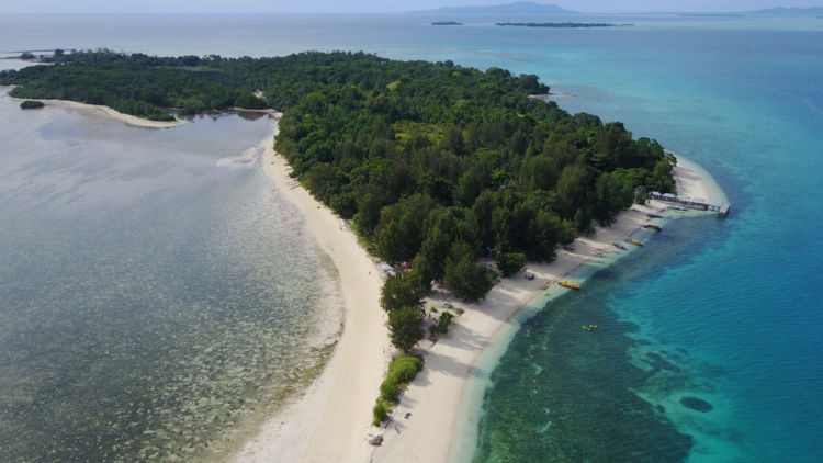 #DiIndonesiaAja-Dijuluki Mutiara di Bibir Pasifik, 7 Aktivitas Seru Ini Hanya Bisa Kamu Lakukan di Pulau Morotai!