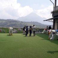 #DiIndonesiaAja-Mau Liburan Bareng Keluarga? Cimory Dairyland Aja! Dapat Senangnya, Dapat Ilmunya