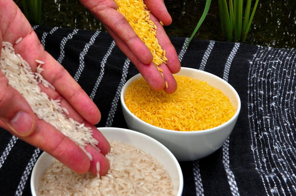 Sering Dianggap 'Ndeso' dan Nggak Bergizi, Nasi Jagung Justru Punya 7 Manfaat Tak Terduga ini