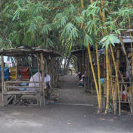 #DiIndonesiaAja-Menikmati Suasana Sejuk di Rindangnya Hutan Bambu Kota Bekasi.