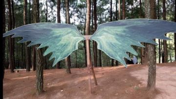 #DiIndonesiaAja-Liburan di Pinus Kita Pacitan, Rasakan Sejuknya Pemandangan Hutan Pinus