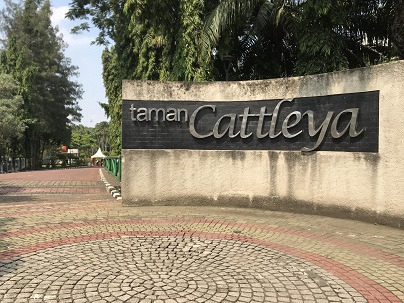 Cattleya, Oase di Tengah Hiruk Pikuk Kota Jakarta