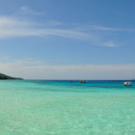 #DiIndonesiaAja-Bermain Dengan Penyu, Lumba-lumba dan Ubur-ubur. Ayo ke Laut Kalimantan!
