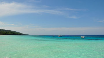 #DiIndonesiaAja-Bermain Dengan Penyu, Lumba-lumba dan Ubur-ubur. Ayo ke Laut Kalimantan!