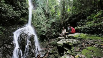 #DiIndonesiaAja-Berburu Kicau Burung di Teluk Wondama, Papua Barat.