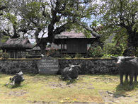 #DiIndonesiaAja-Bosan ke Pantai, Yuk Intip 5 Fakta Menarik Desa Bali Aga di Ujung Timur Pulau Bali