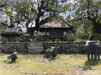 #DiIndonesiaAja-Bosan ke Pantai, Yuk Intip 5 Fakta Menarik Desa Bali Aga di Ujung Timur Pulau Bali