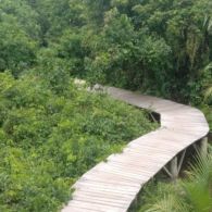 #DiIndonesiaAja-Ternyata Sumatera Barat Punya Destinasi Wisata Pantai yang Tidak Biasa, Ada yang Sudah Pernah ke Green Talao Park Belum?