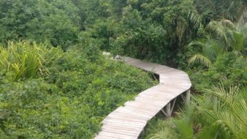 #DiIndonesiaAja-Ternyata Sumatera Barat Punya Destinasi Wisata Pantai yang Tidak Biasa, Ada yang Sudah Pernah ke Green Talao Park Belum?