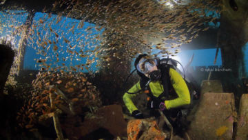 #DiIndonesiaAja-Diving di Tempat yang Tak Biasa? Taman Nukila, Maluku Utara, Spot Diving Terunik di Indonesia